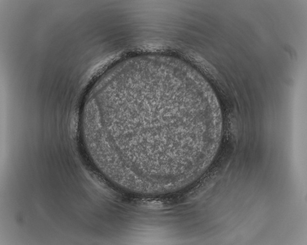 X0000113350640200910131240