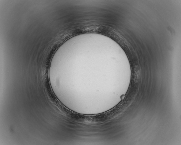 X0000113350641200910131240