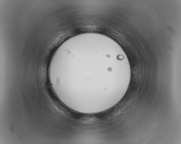 X0000113350642200910131240