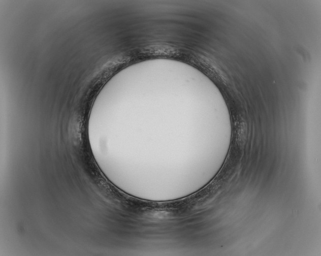 X0000113350643200910131240