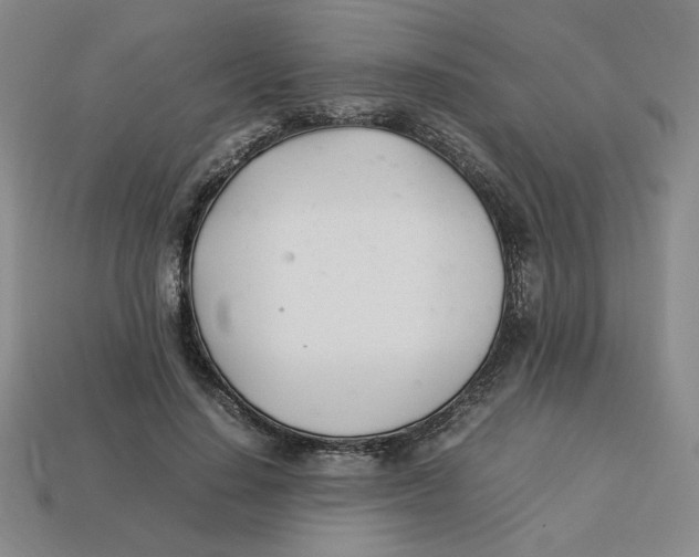 X0000113350644200910131240