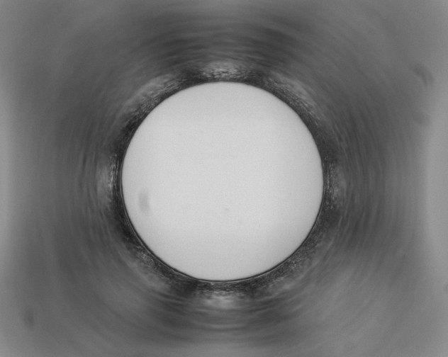 X0000113350645200910131240