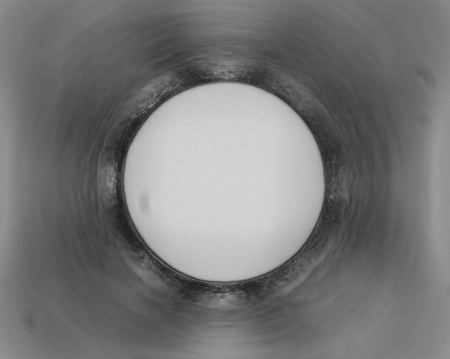 X0000113350646200910131240