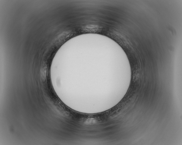 X0000113350647200910131240