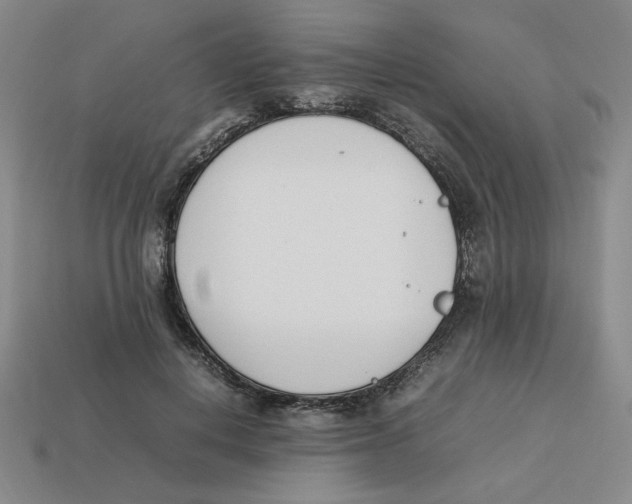 X0000113350648200910131240