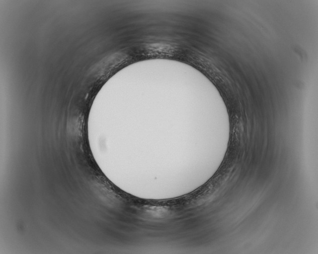 X0000113350649200910131240