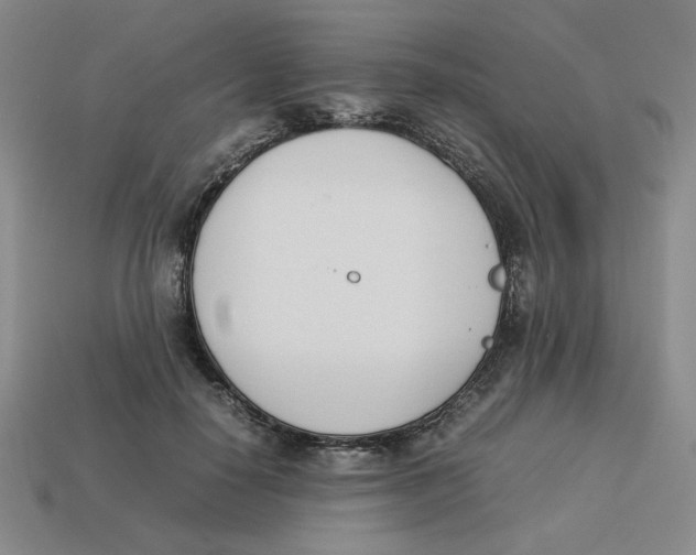 X0000113350650200910131240