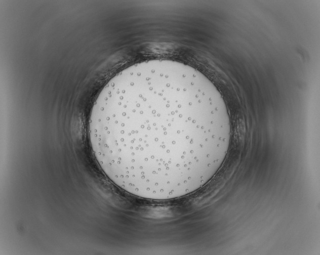 X0000113350651200910131240