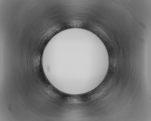 X0000113350652200910131240