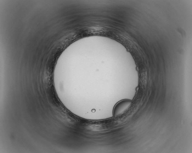 X0000113350653200910131240