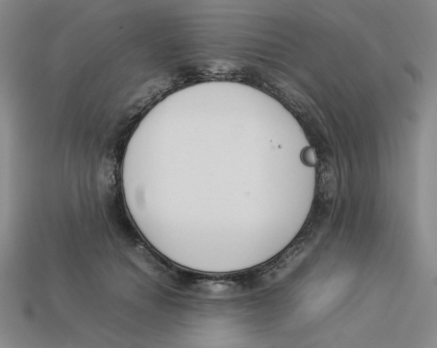 X0000113350654200910131240