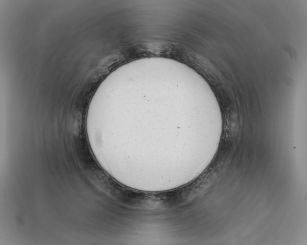 X0000113350656200910131240