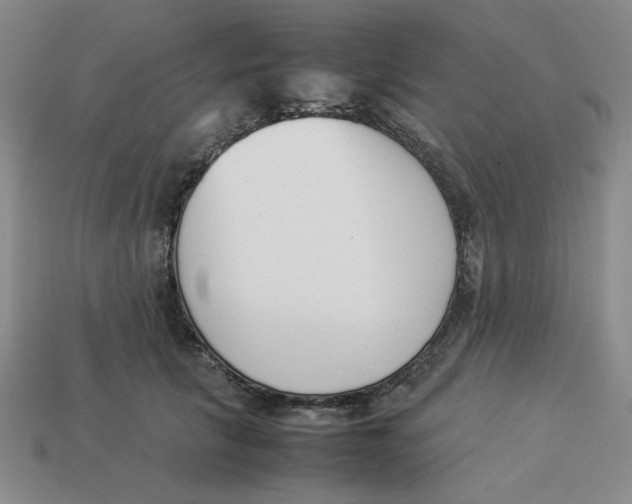 X0000113350657200910131240