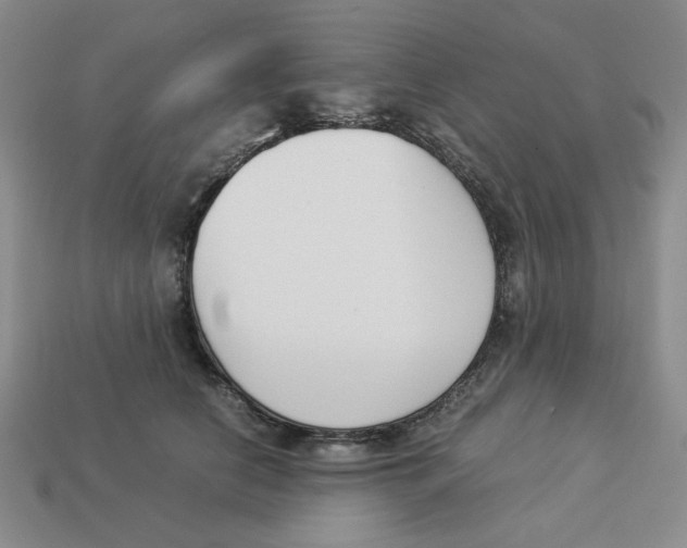 X0000113350658200910131240