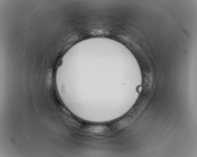 X0000113350659200910131240