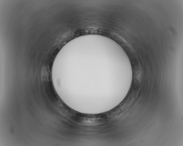 X0000113350661200910131241