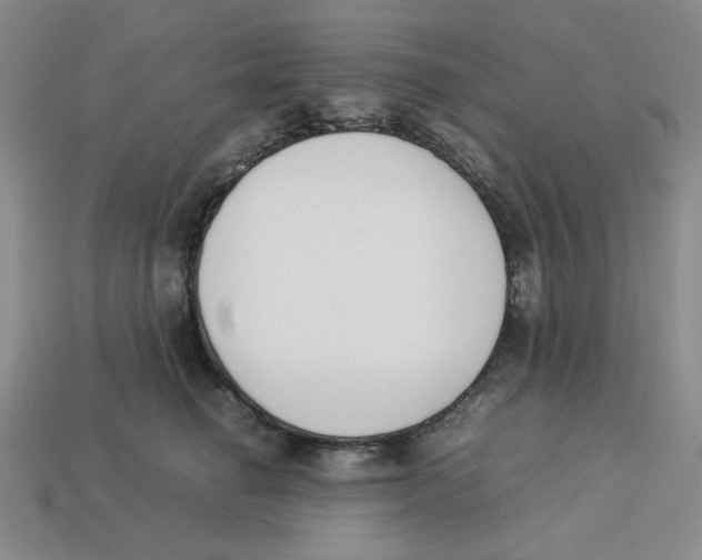 X0000113350662200910131241