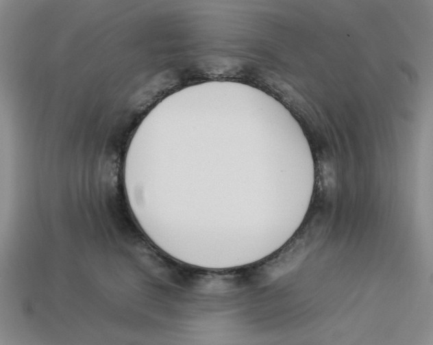 X0000113350664200910131241