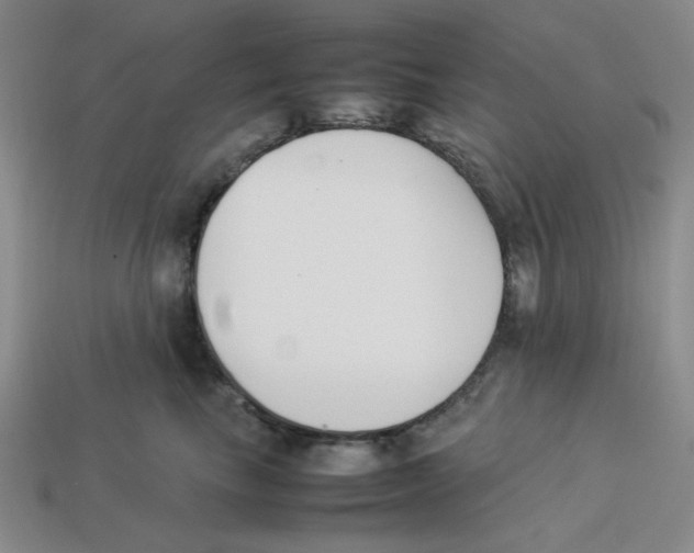 X0000113350665200910131241