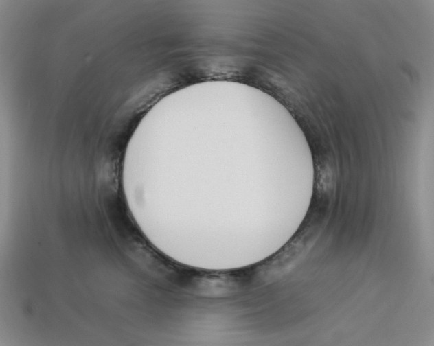 X0000113350666200910131241