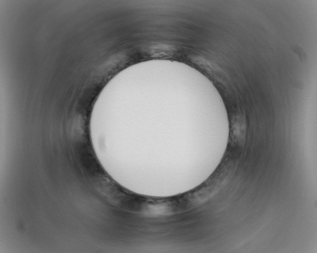 X0000113350667200910131241