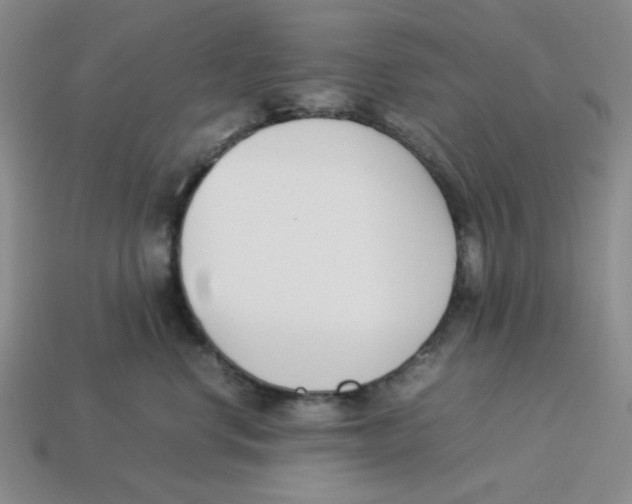 X0000113350668200910131241