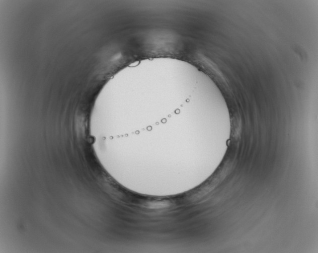 X0000113350669200910131241