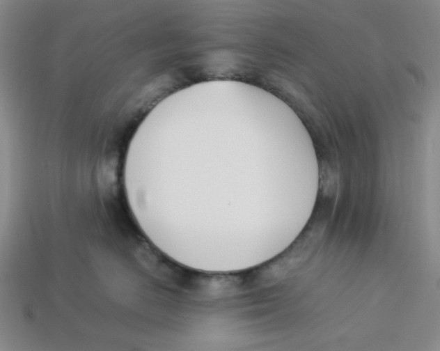 X0000113350670200910131241