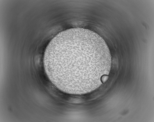 X0000113350671200910131241