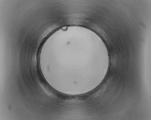 X0000113350674200910131240