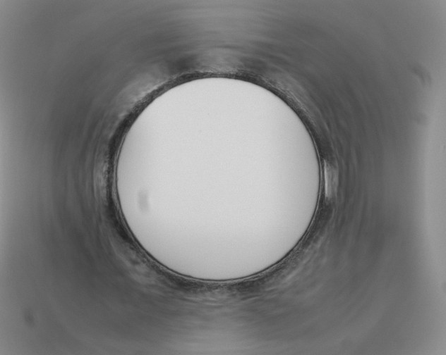 X0000113350675200910131240