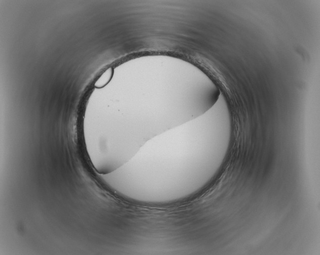 X0000113350676200910131240