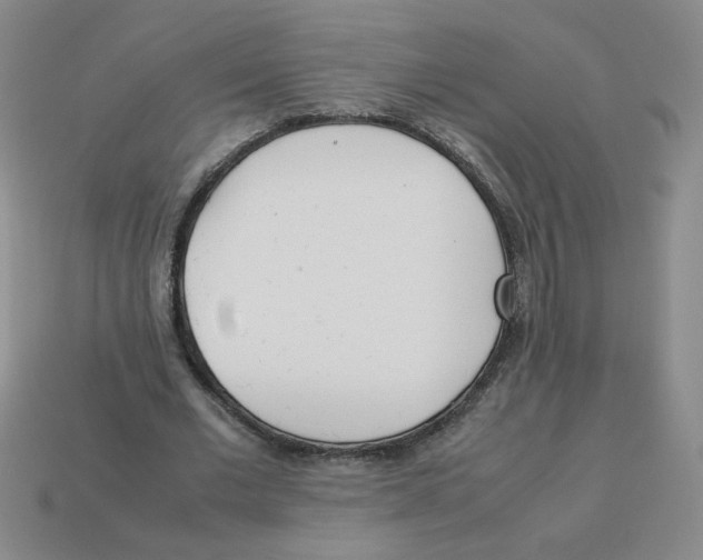 X0000113350677200910131240