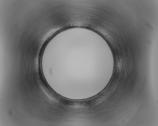 X0000113350678200910131240