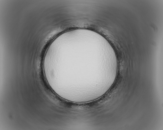 X0000113350679200910131240