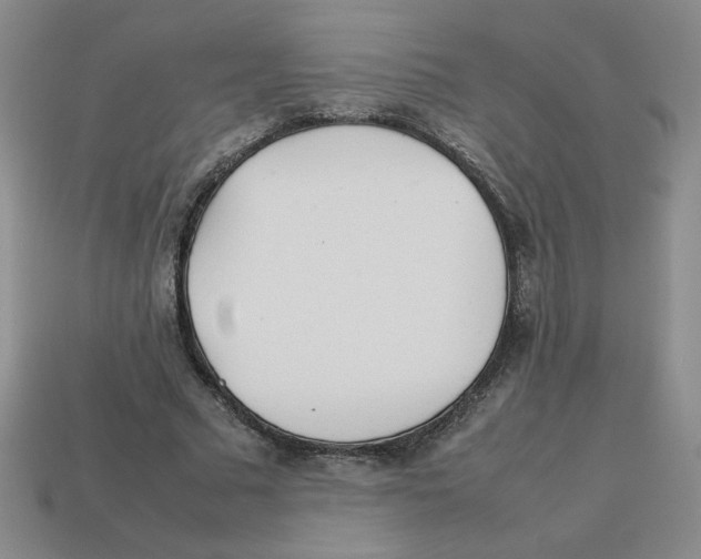 X0000113350681200910131240