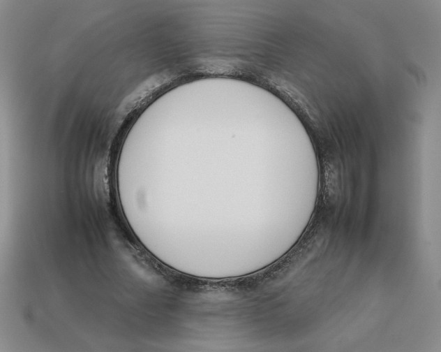 X0000113350682200910131240