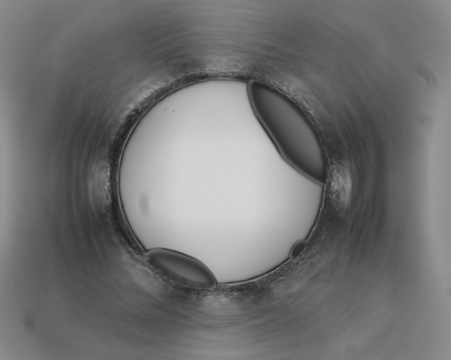 X0000113350684200910131240