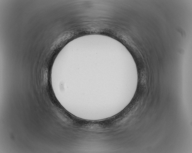 X0000113350685200910131240