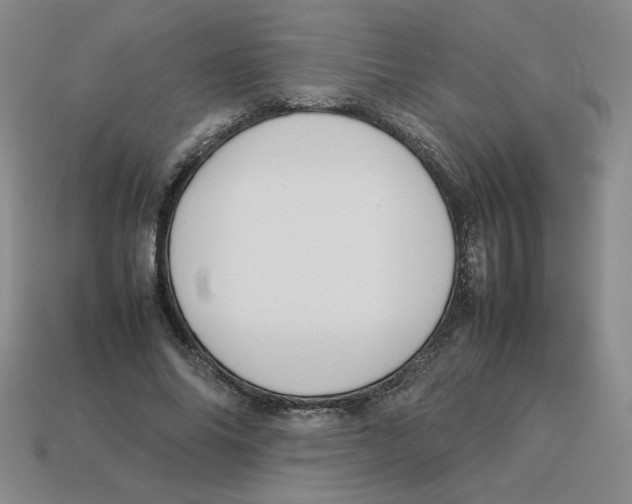 X0000113350686200910131240