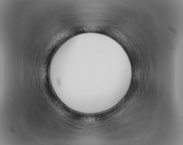 X0000113350687200910131240