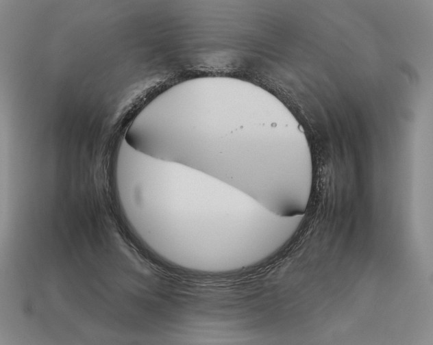 X0000113350688200910131240