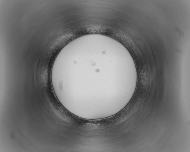 X0000113350690200910131240