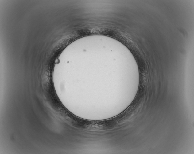 X0000113350691200910131240