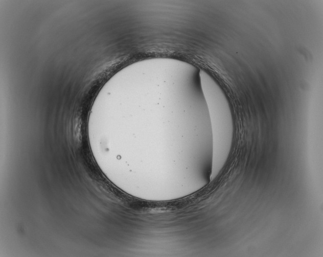 X0000113350692200910131240