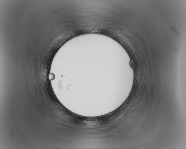 X0000113350693200910131240