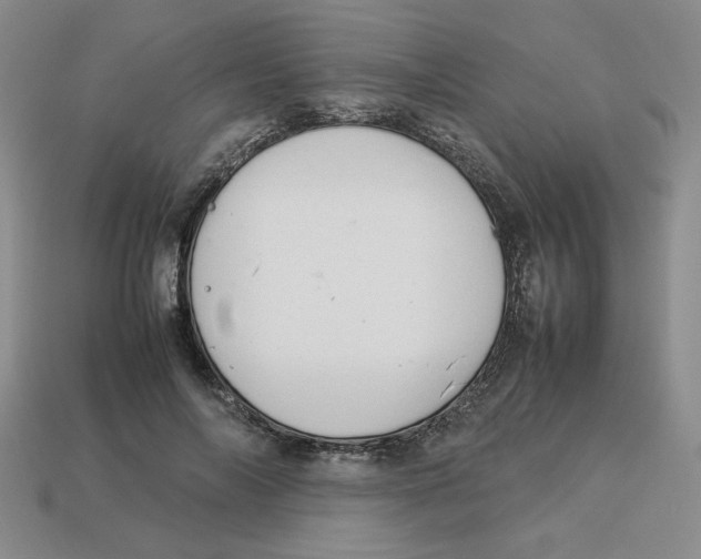 X0000113350694200910131240