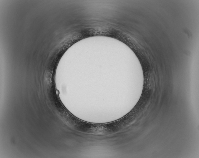 X0000113350695200910131240