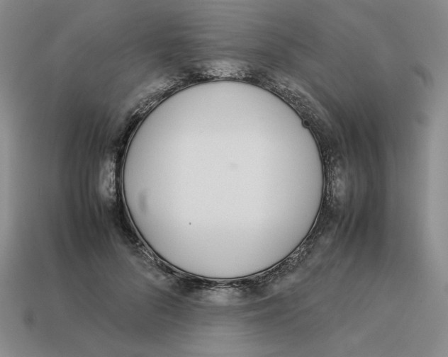 X0000113350696200910131240