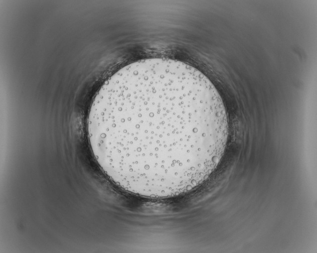 X0000113350699200910131240